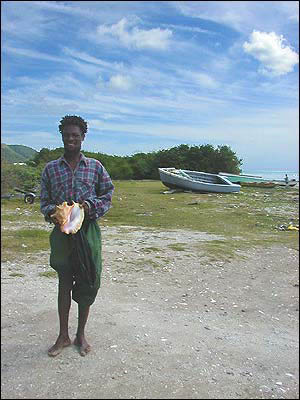 Conch_Vendor