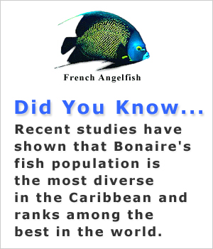 Did You Know