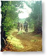 Cycling on Bonaire