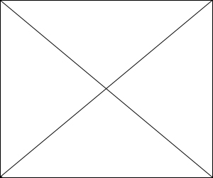 ad300x250b