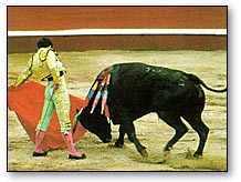 bullfight02.jpg (20167 bytes)