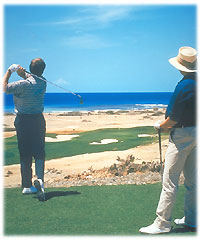 Golfing image