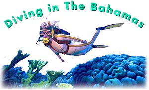 Diving in the Bahamas