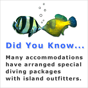 Accommodations - Did You Know