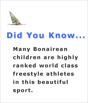 Windsurfing - Did You Know