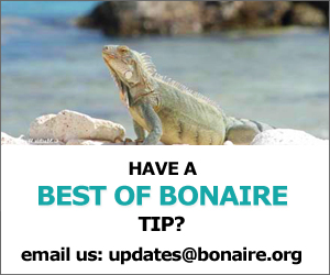 Best of Bonaire