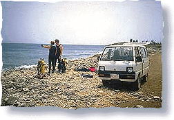 Bonaire Car Rental