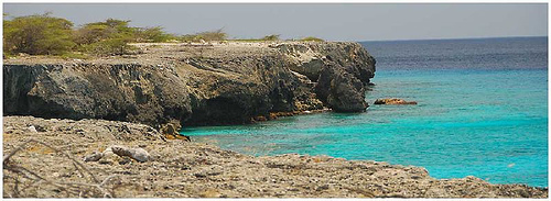 Bonaire Coastline