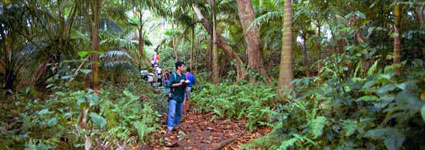 Exploration in Costa Rica