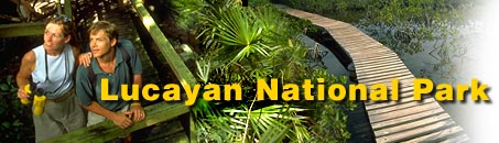 Lucayan National Park