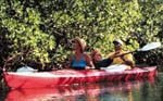 Kayak Nature Tours