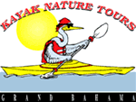 Kayak Nature Tours