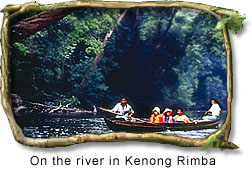 River of Kenong Rimba