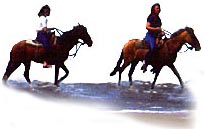 horsebackriding03.jpg (12010 bytes)
