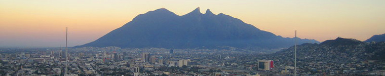 Monterrey Business