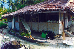 Papua New Guinea Island House