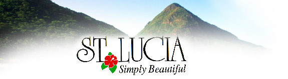 Top St Lucia Logo
