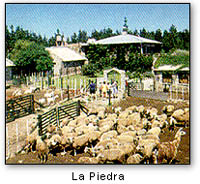 lapiedra.jpg (29926 bytes)