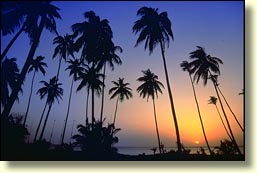 Nevis Sunset