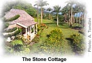 Stone Cottage