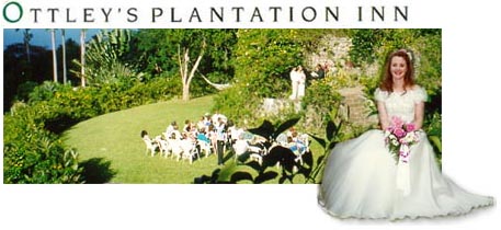 Your Wedding at Ottley's Plantation Inn